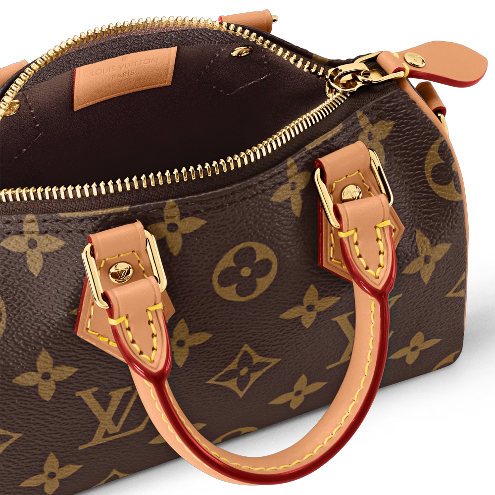 LV NANO SPEEDY Bag