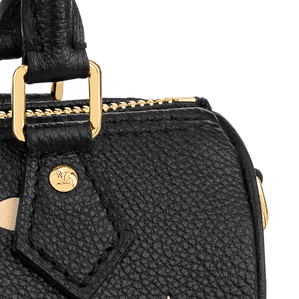 LV NANO SPEEDY Bag