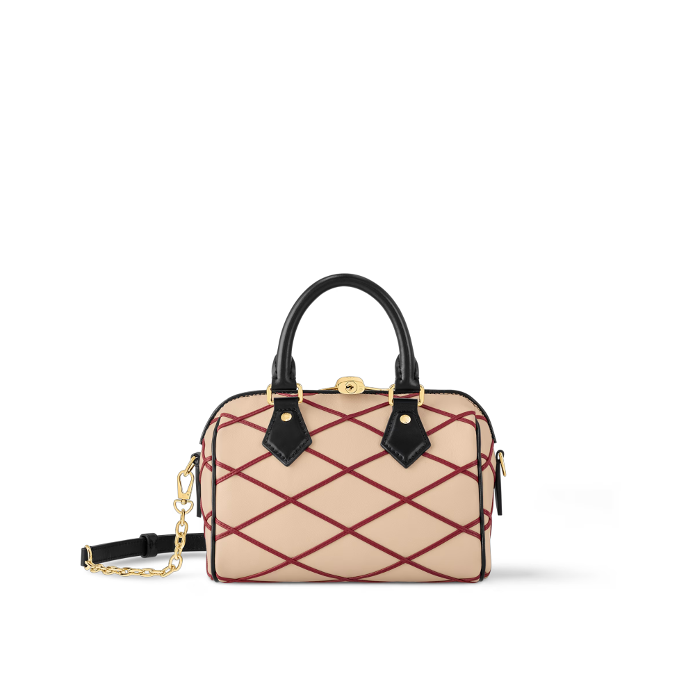 LV SPEEDY BANDOULIÈRE 20 Bag