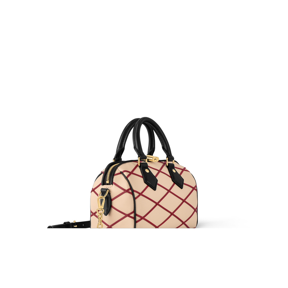 LV SPEEDY BANDOULIÈRE 20 Bag