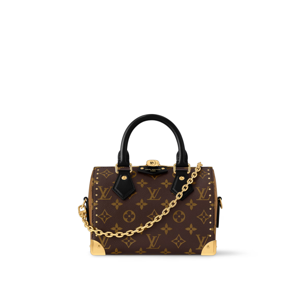 LV SPEEDY SPEEDY TRUNK 20 Bag