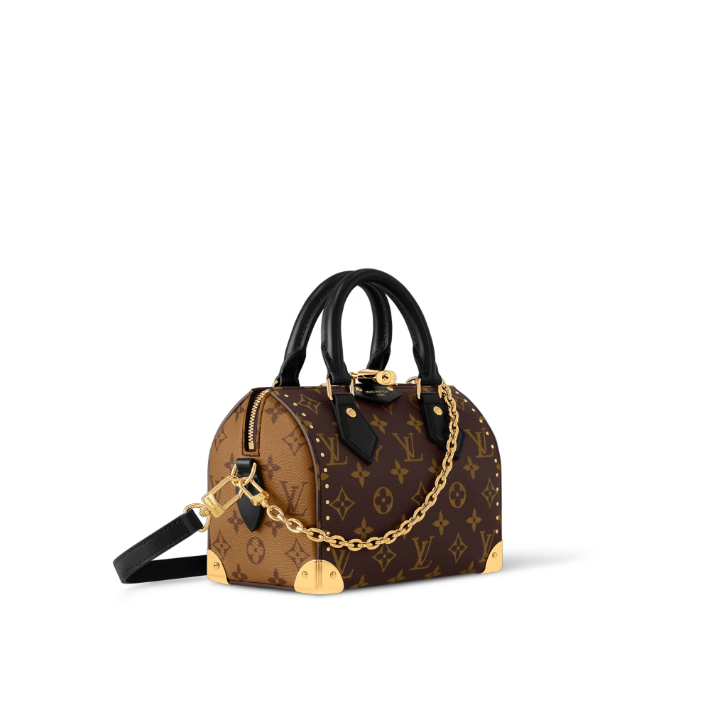 LV SPEEDY SPEEDY TRUNK 20 Bag