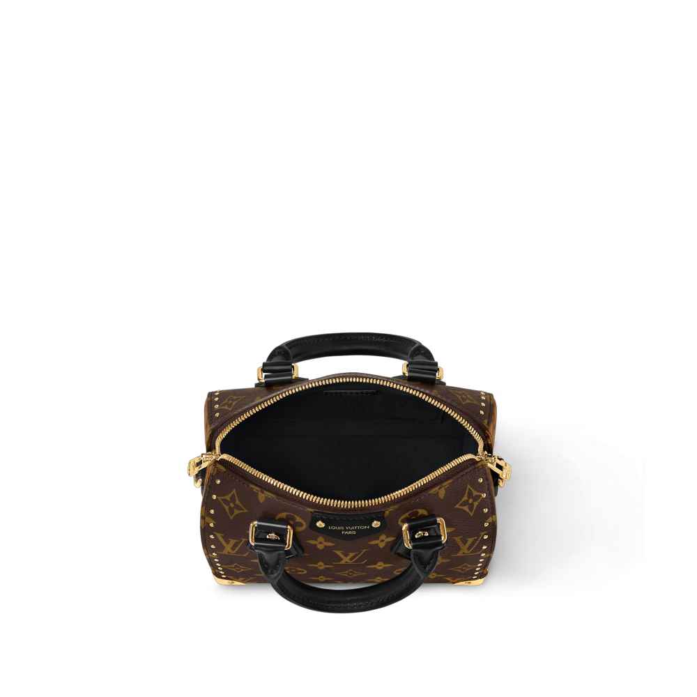 LV SPEEDY SPEEDY TRUNK 20 Bag