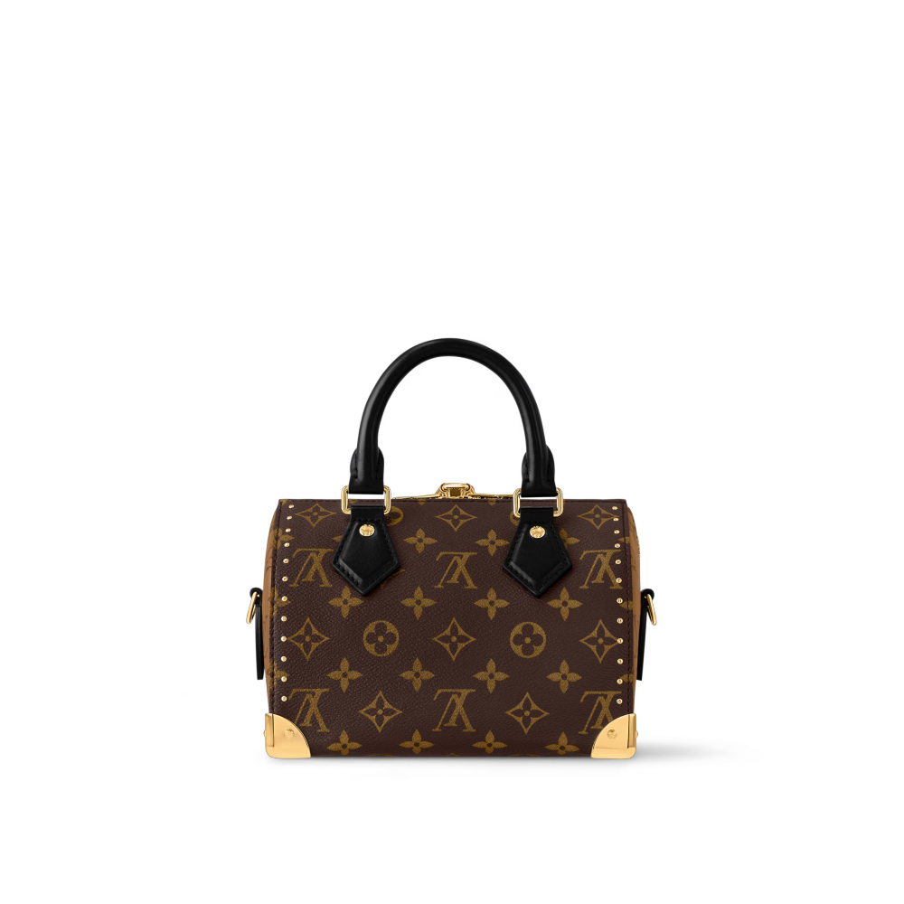 LV SPEEDY SPEEDY TRUNK 20 Bag