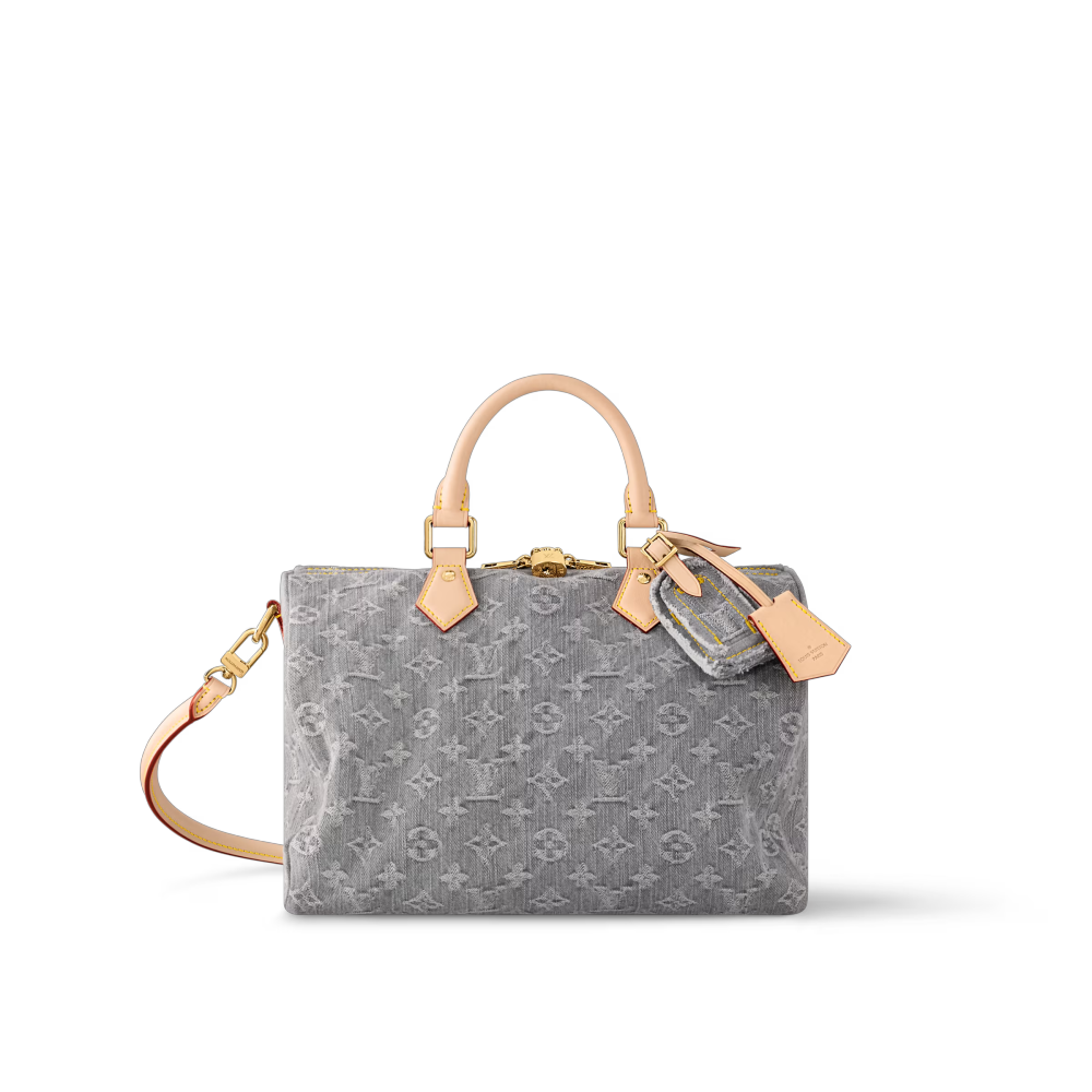LV SPEEDY SOFT 30 Bag