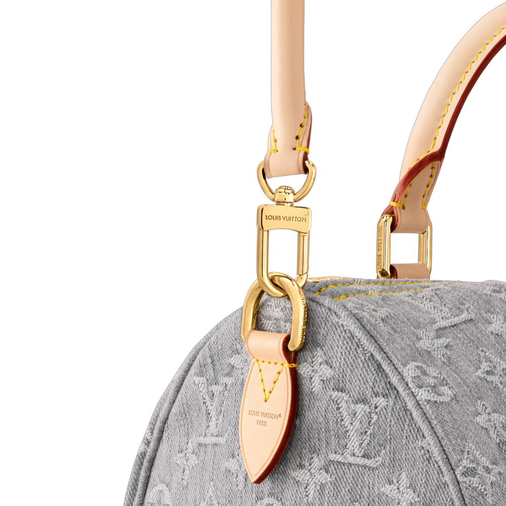 LV SPEEDY SOFT 30 Bag