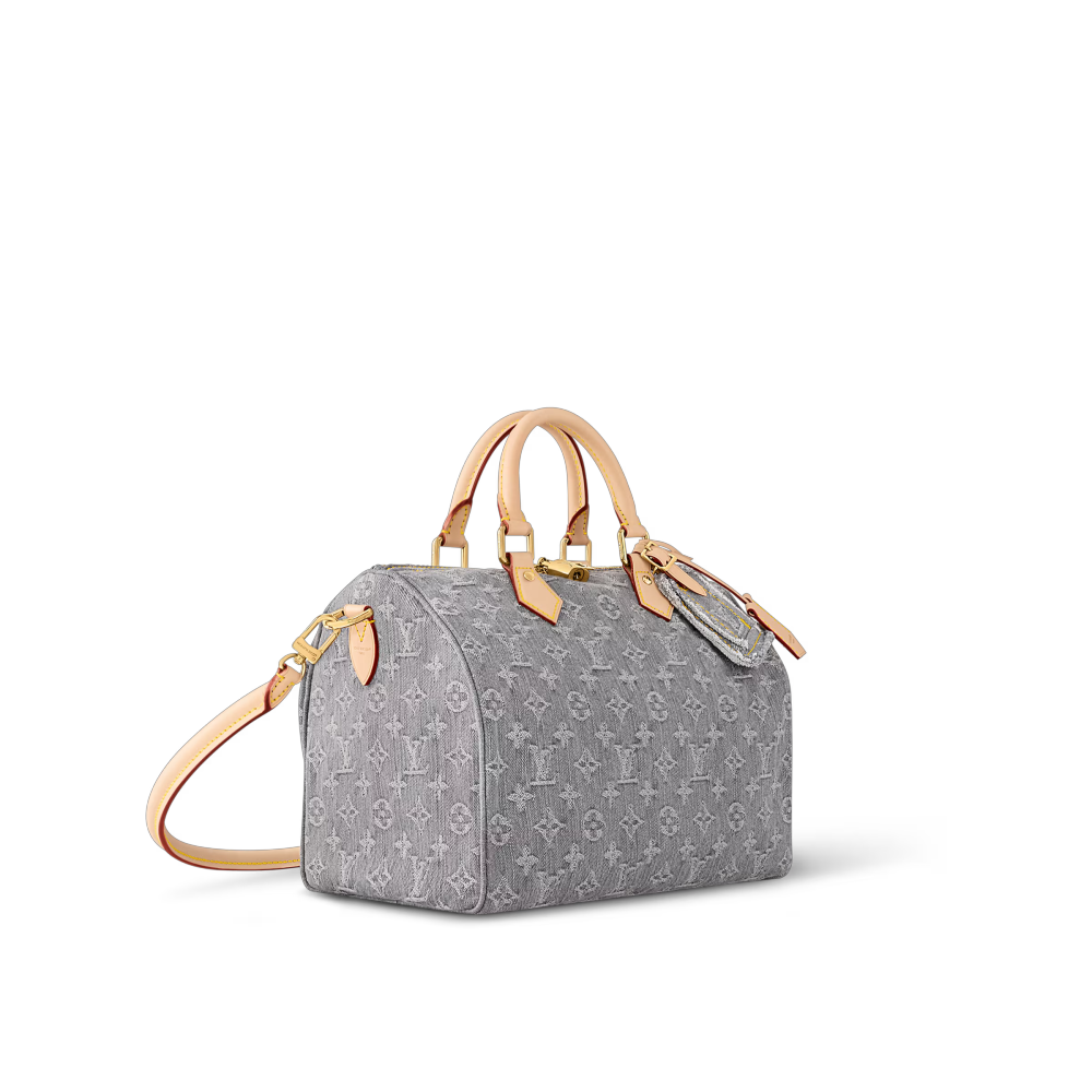 LV SPEEDY SOFT 30 Bag