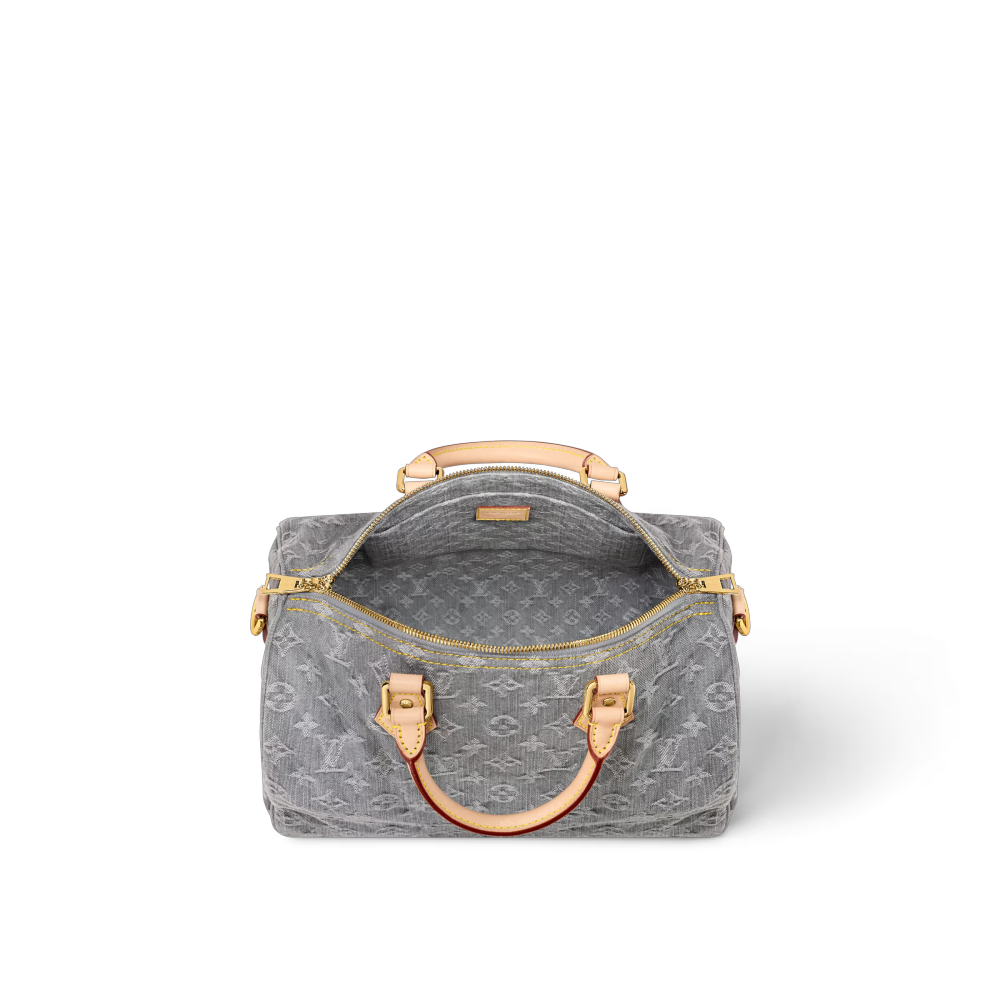 LV SPEEDY SOFT 30 Bag