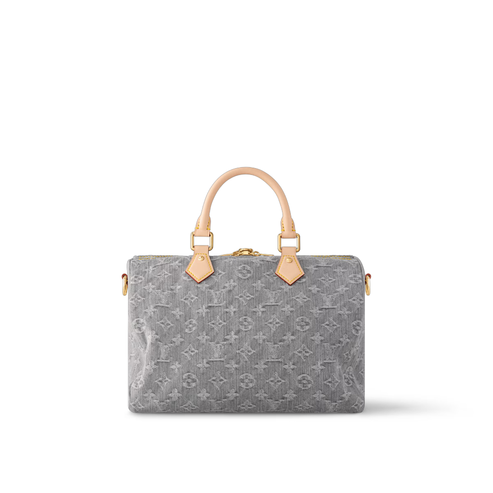 LV SPEEDY SOFT 30 Bag