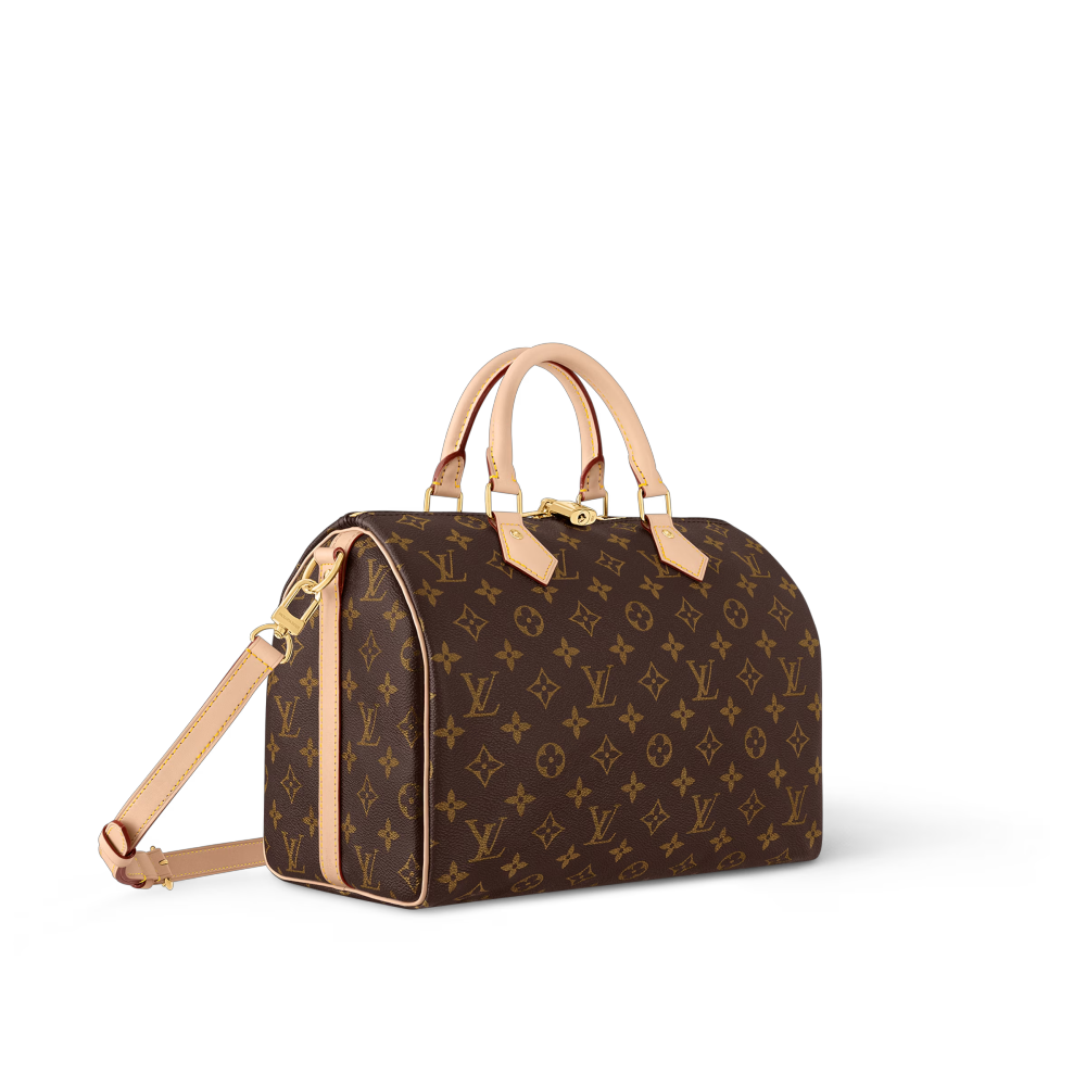 LV SPEEDY BANDOULIÈRE 30 Bag