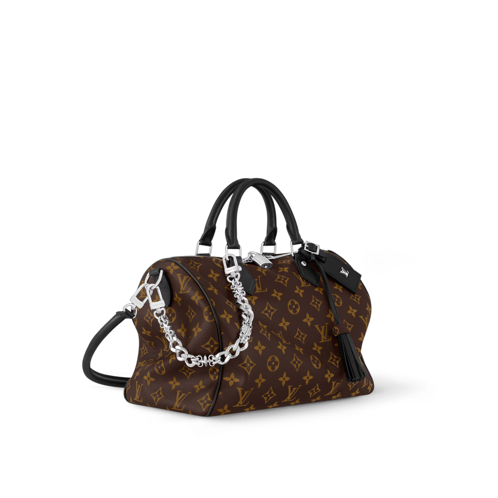LV SPEEDY SOFT 30 DARK Bag