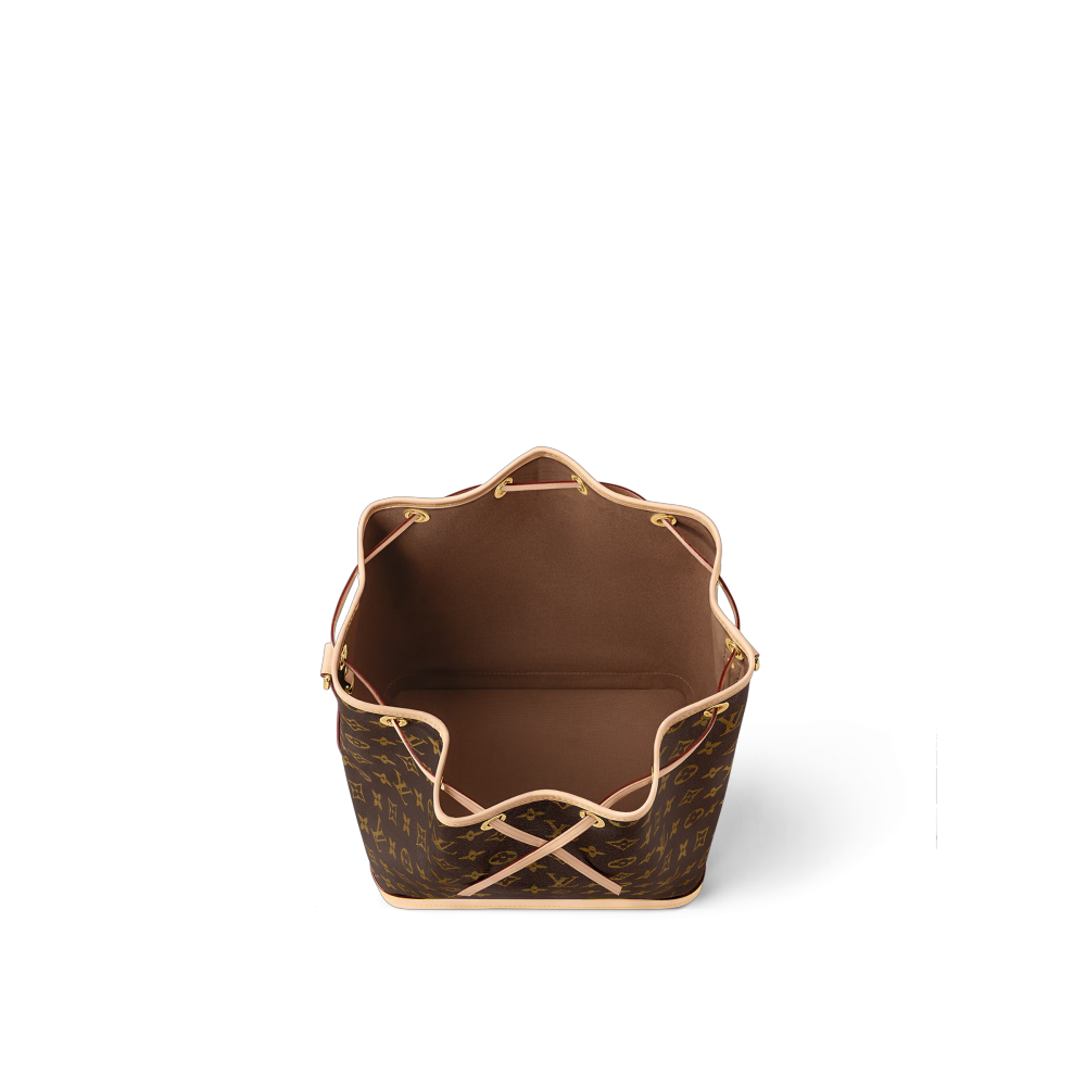 LV NOÉ Bag