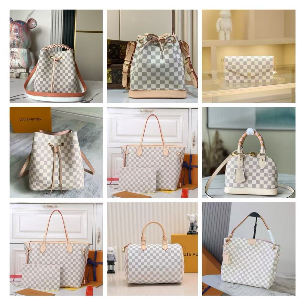 Louis Vuitton Damier Collection / Various Styles and Sizes