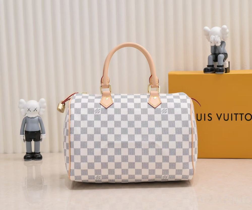 Louis Vuitton Damier Collection / Various Styles and Sizes