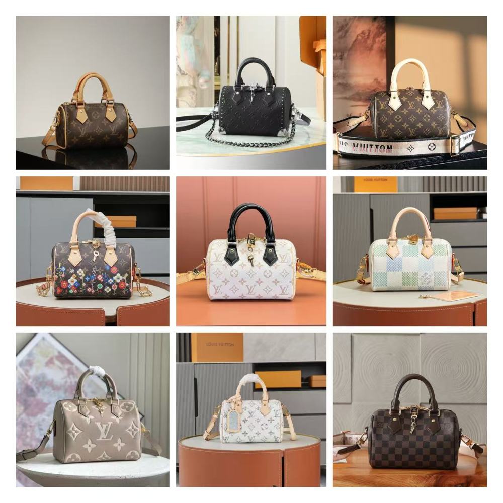Louis Vuitton Speedy 20 series / Various styles and colors available