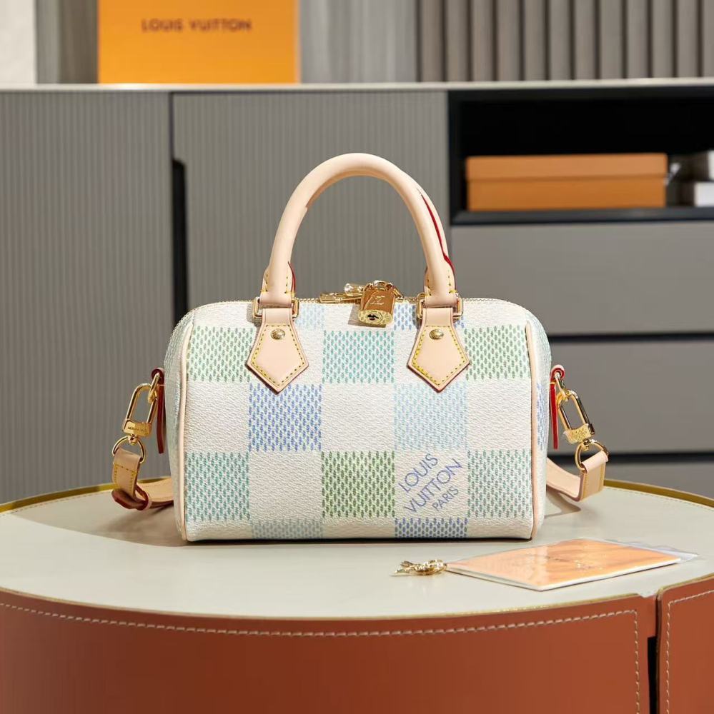 Louis Vuitton Speedy 20 series / Various styles and colors available