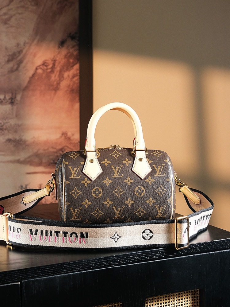 Louis Vuitton Speedy 20 series / Various styles and colors available
