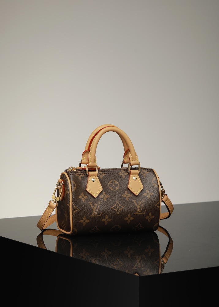 Louis Vuitton Speedy 20 series / Various styles and colors available