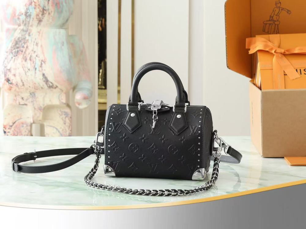 Louis Vuitton Speedy 20 series / Various styles and colors available