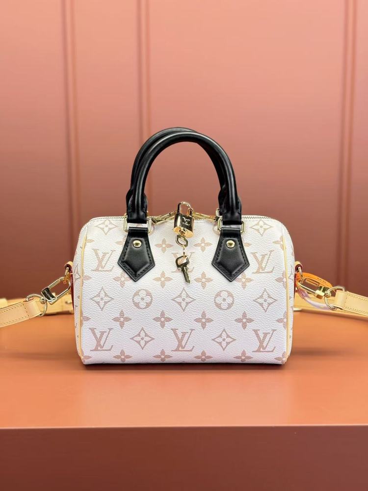 Louis Vuitton Speedy 20 series / Various styles and colors available