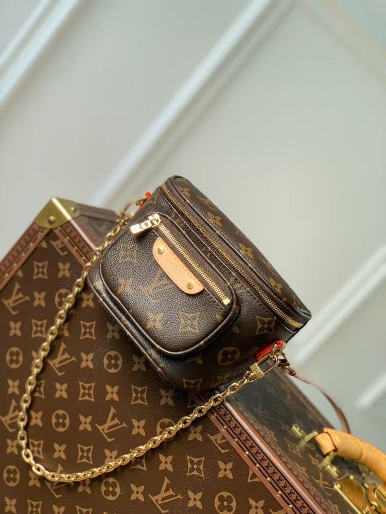 Louis Vuitton classic monogram
