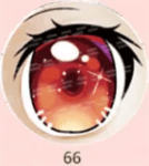 66