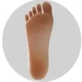 Hard Feet（silicone only）+$50