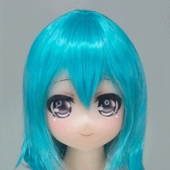 H23