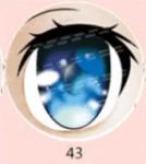 43