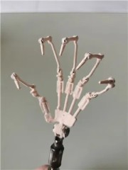 New Articulated Finger Joint $150