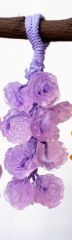Rose Shape