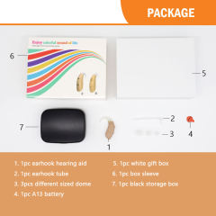 DREAM 500A Analog BTE Hearing Aids Amplifier 2-in-1 Design