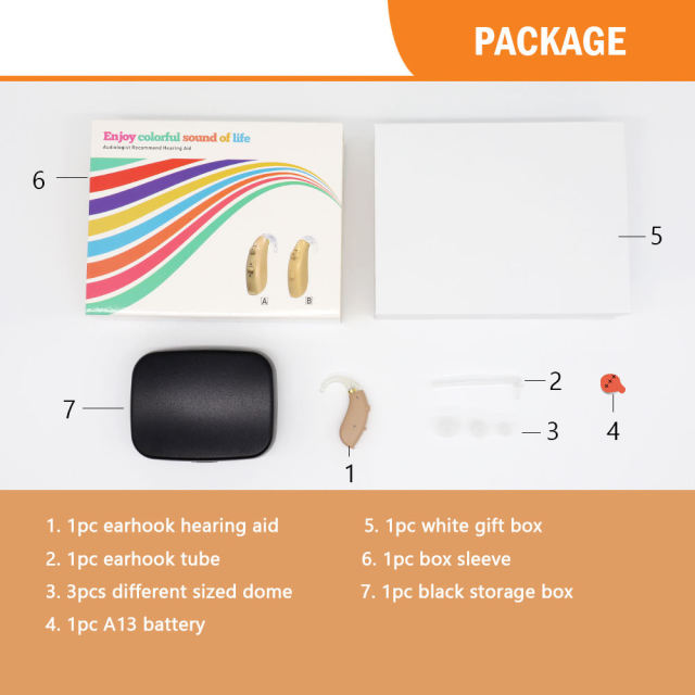 DREAM 500A Analog BTE Hearing Aids Amplifier 2-in-1 Design