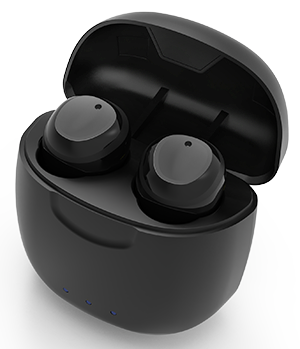 Z6 ITE Rechargeable Hearing Aids