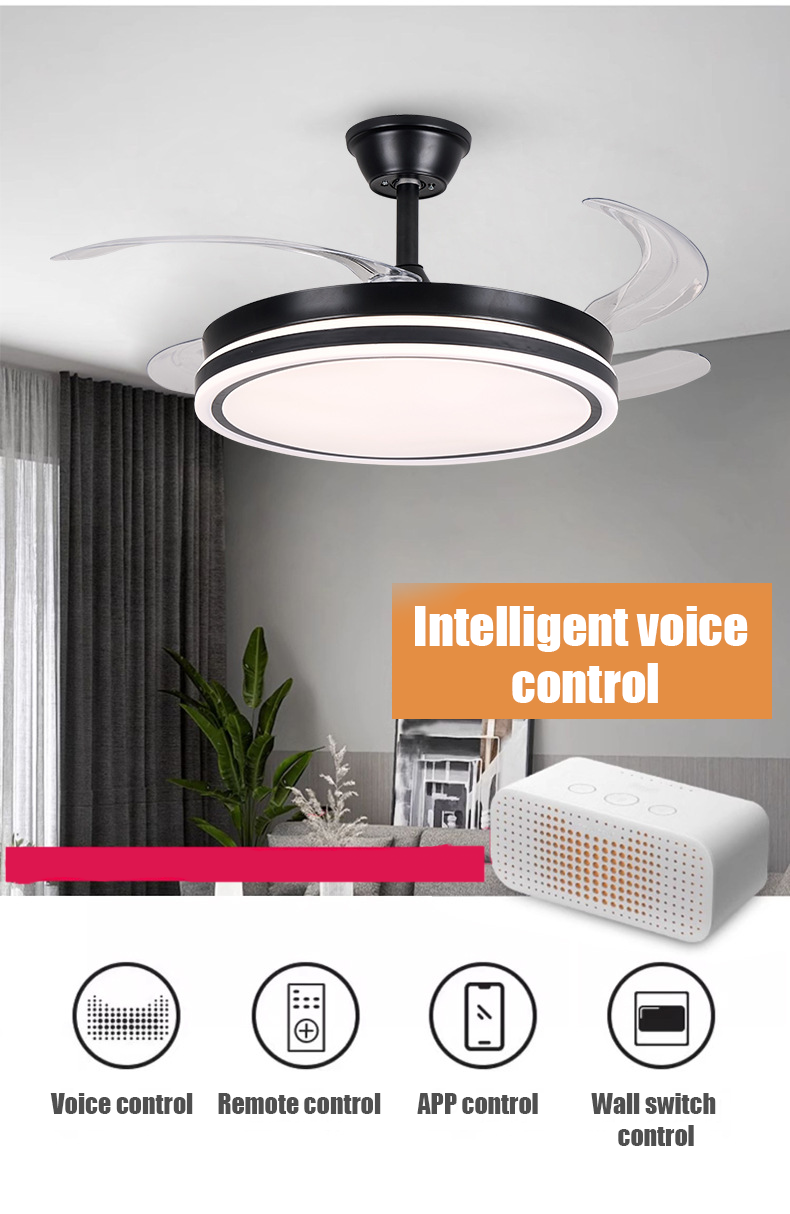 ceiling fan