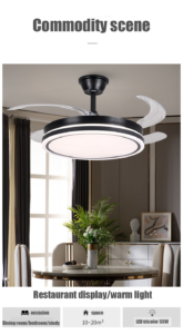 ceiling fan