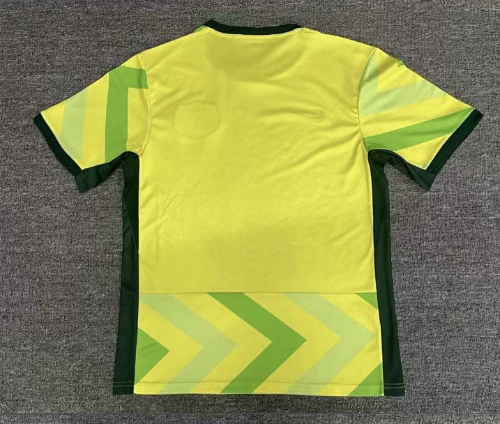 2026 2027 Australia Home away Shirt adult kids kit 26 27 New Australia World Cup Football jersey (Fan Edition)