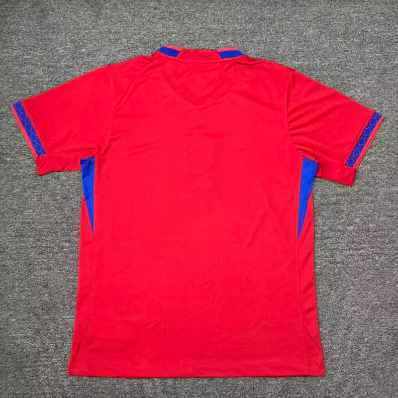 2026 2027 Norway Home away Shirt adult kids kit Haaland 26 27 New Norway World Cup Football jersey (Fan Edition)