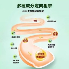台灣現貨酵素梅正品排宿減肥四季果酵素青梅子增強版