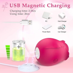 Rose Toys Flapping Rose Vibrator 7 Mind-Blowing Clitoral Patting Stimulator Sex Toy for Women