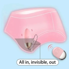 Vibrator Egg 10 Meters Remote Control 10 Vibration Modes