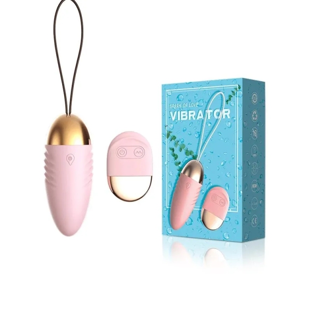 Vibrator Remote Control Bullet USB Charging Sex Toy for Woman
