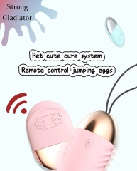 Vibrator Remote Control Bullet USB Charging Sex Toy for Woman