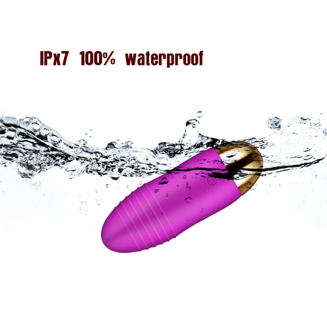 10 Frequency Remote Control USB Rechargeable Wireless Vibrating Egg Vibrator Female Masturbators Vibrator