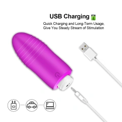 10 Frequency Remote Control USB Rechargeable Wireless Vibrating Egg Vibrator Female Masturbators Vibrator