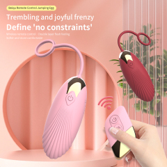 Remote Vibating Egg