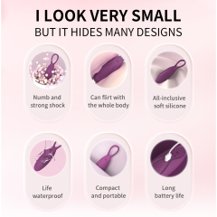 Lecai Waterproof Silicone Egg Vibrator​