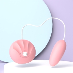 小贝壳（袋装）