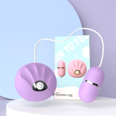 小贝壳（高级款)