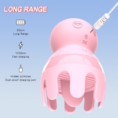 octopus-shaped suction Toy